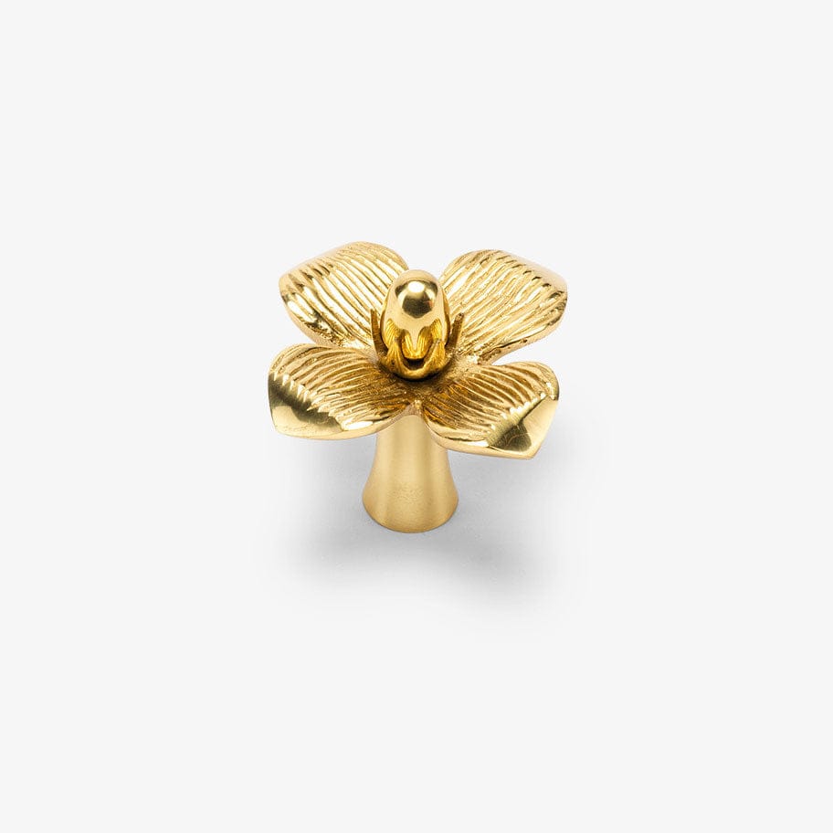 Dogwood Solid Brass Knob - Polished Brass