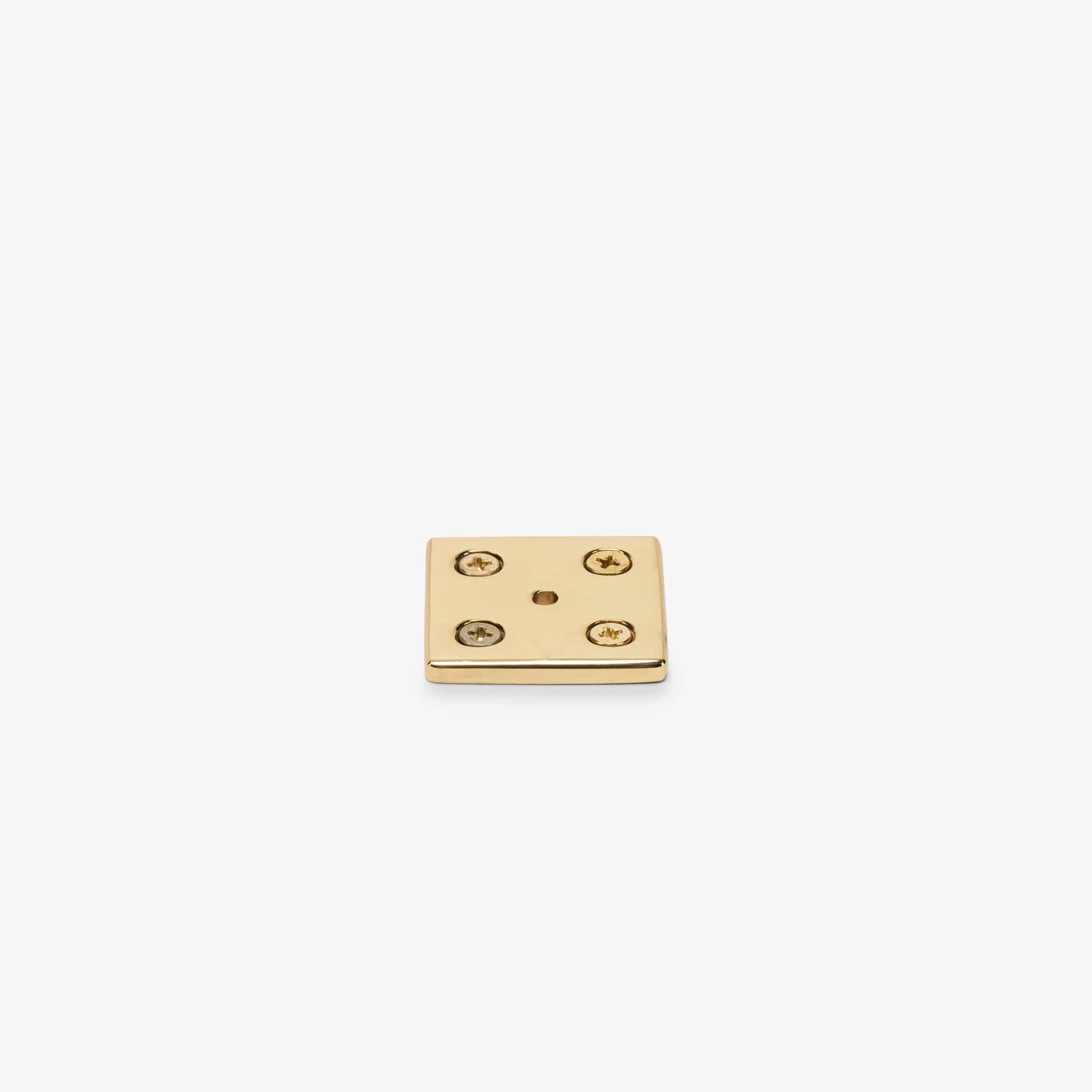 Crewe Backplate - Polished Brass