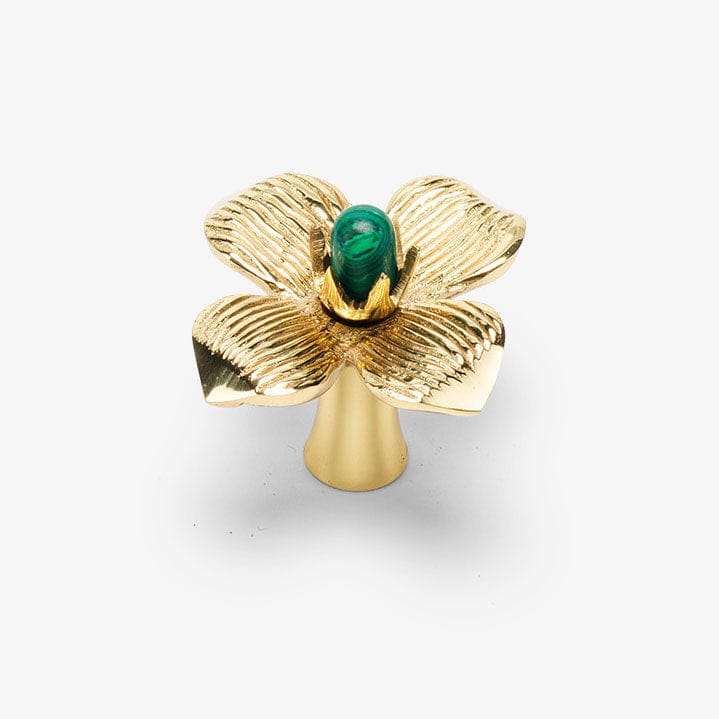 Dogwood Custom Knob - Polished Brass