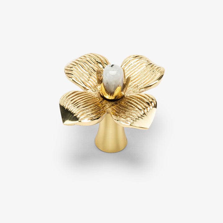 Dogwood Custom Knob - Polished Brass