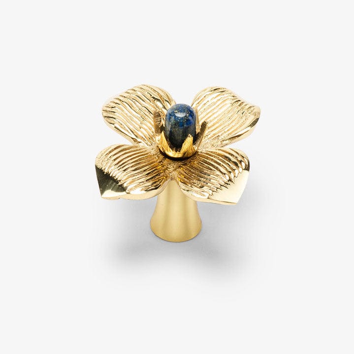 Dogwood Custom Knob - Polished Brass