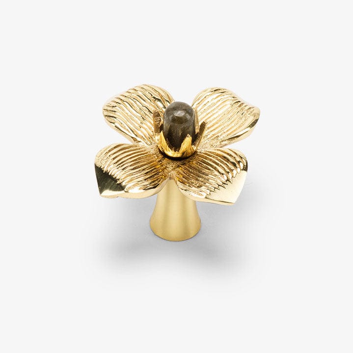 Dogwood Custom Knob - Polished Brass
