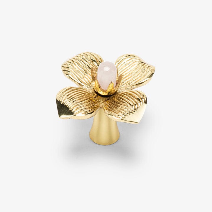 Dogwood Custom Knob - Polished Brass