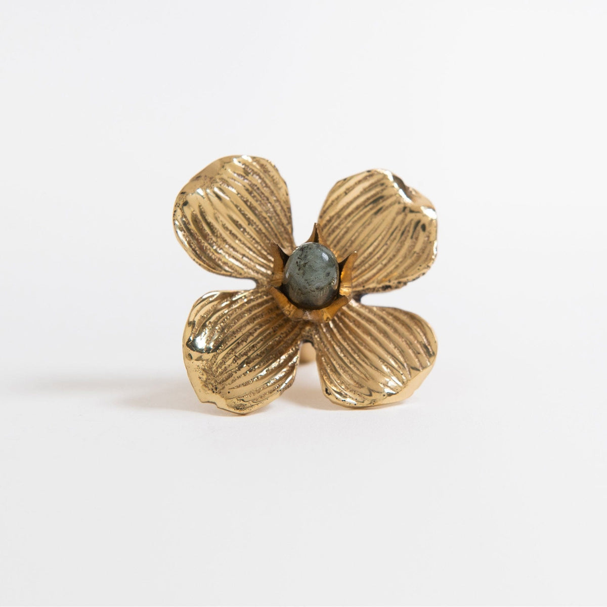 Dogwood Custom Knob - Polished Brass