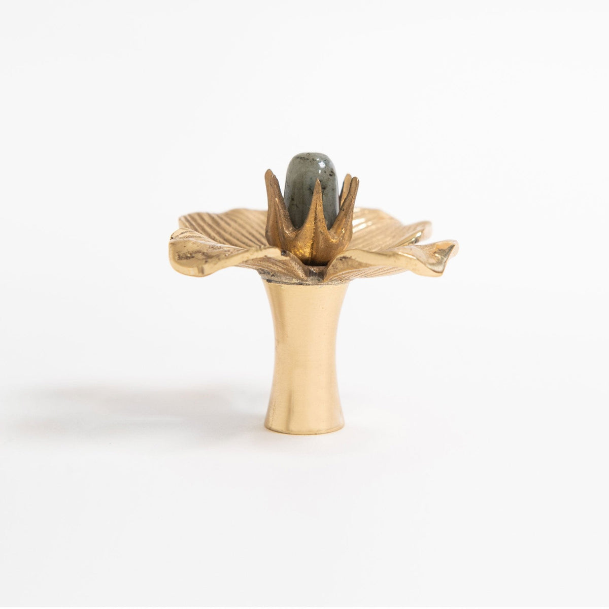 Dogwood Custom Knob - Polished Brass