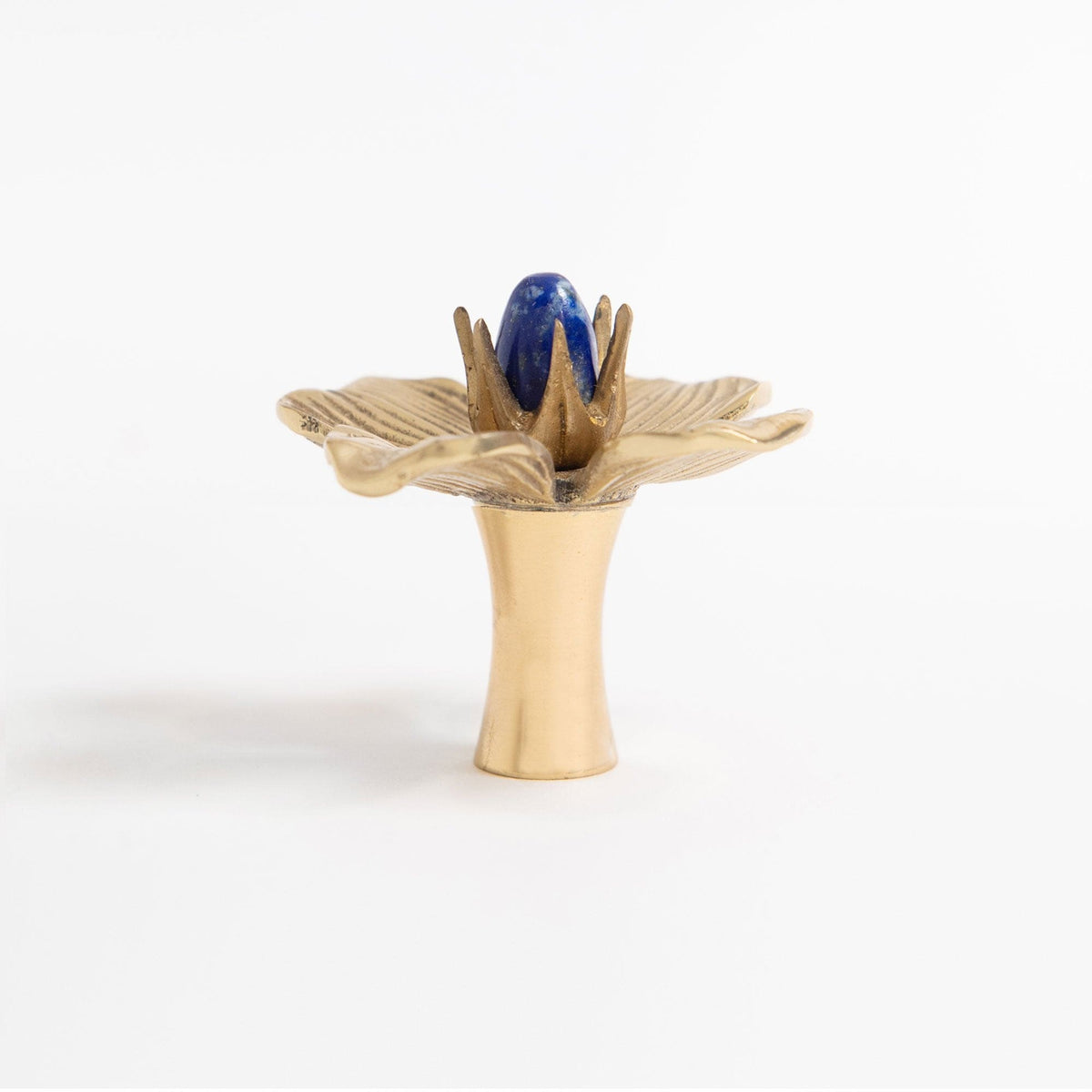 Dogwood Custom Knob - Polished Brass