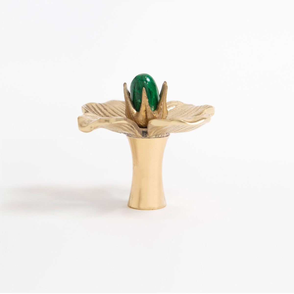 Dogwood Custom Knob - Polished Brass