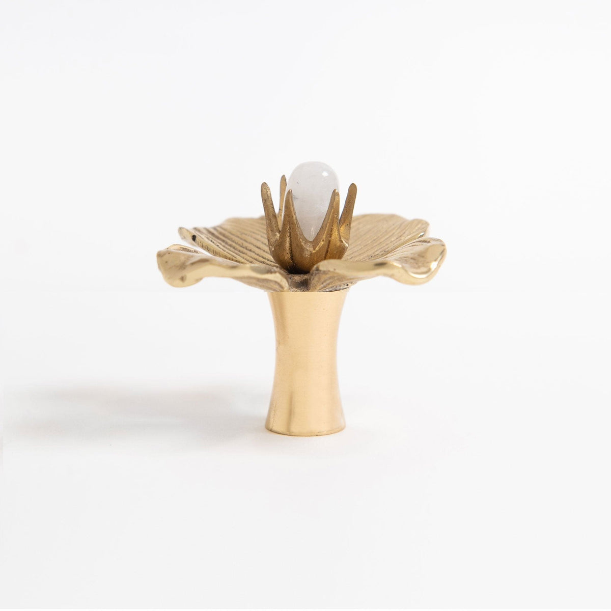 Dogwood Custom Knob - Polished Brass