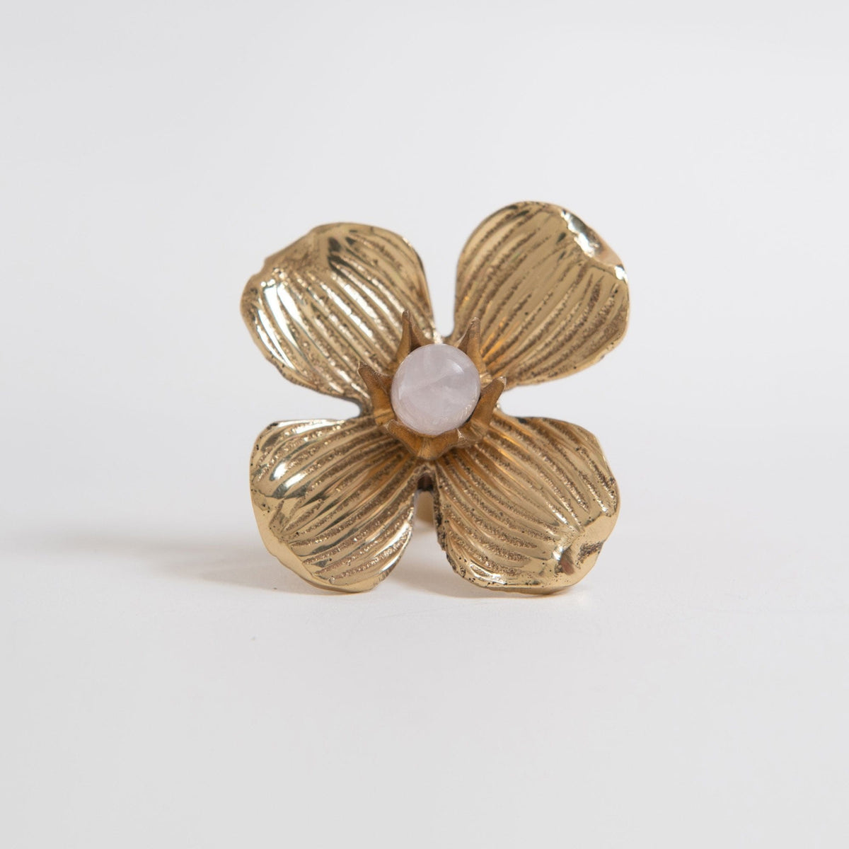 Dogwood Custom Knob - Polished Brass