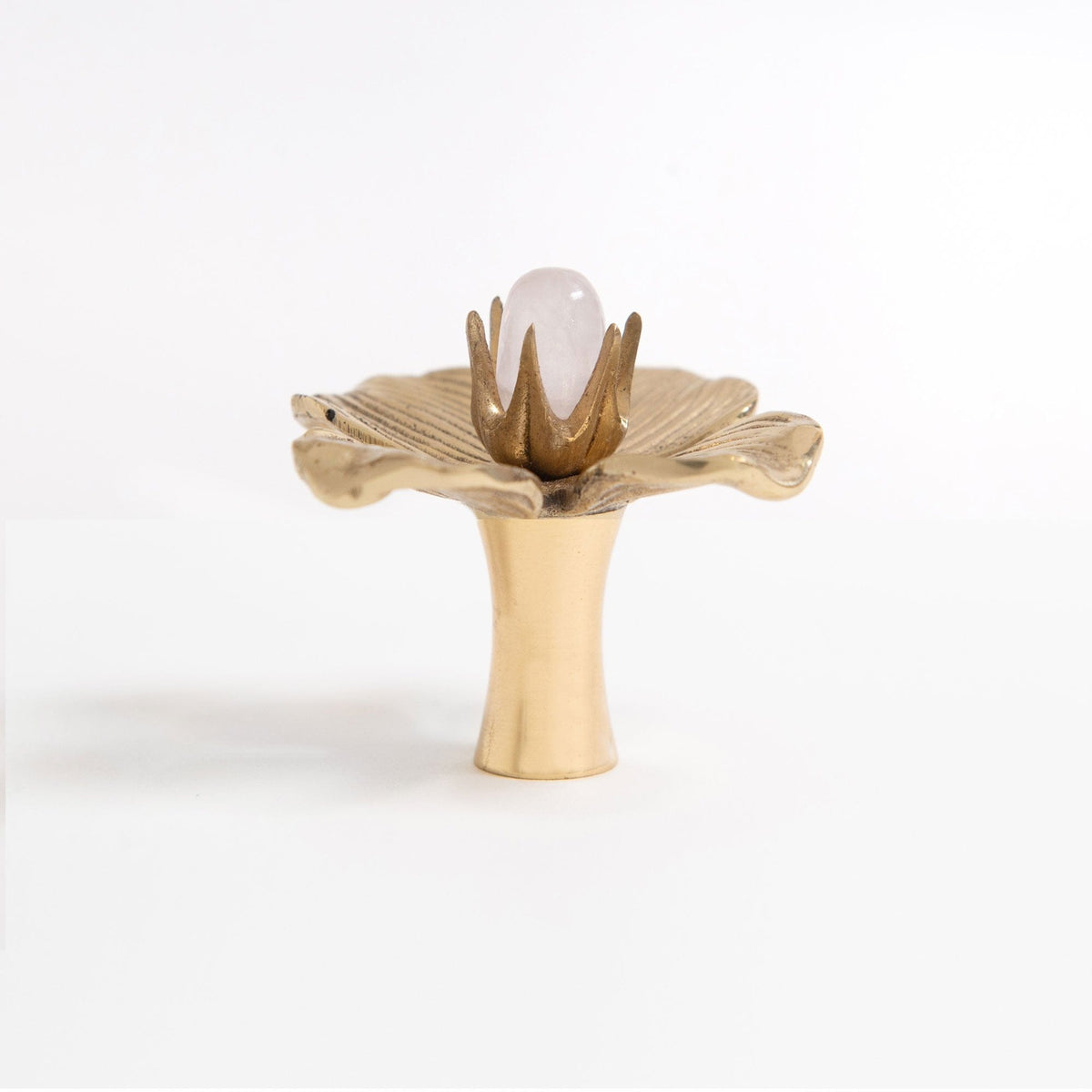 Dogwood Custom Knob - Polished Brass