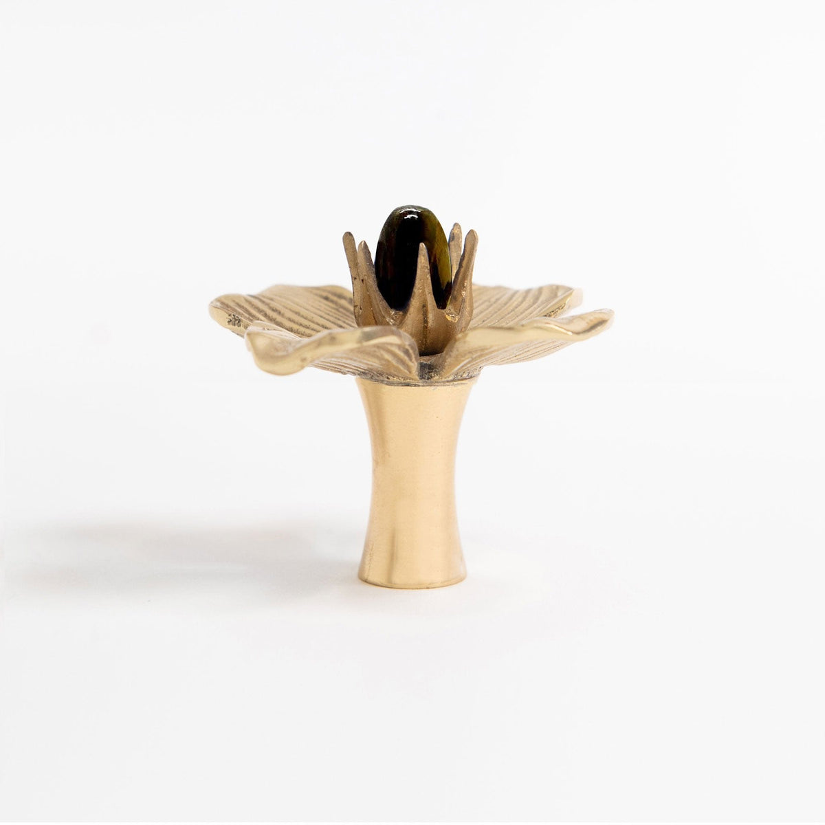 Dogwood Custom Knob - Polished Brass