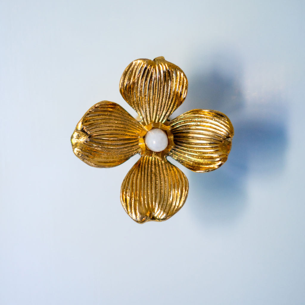 Dogwood Collection