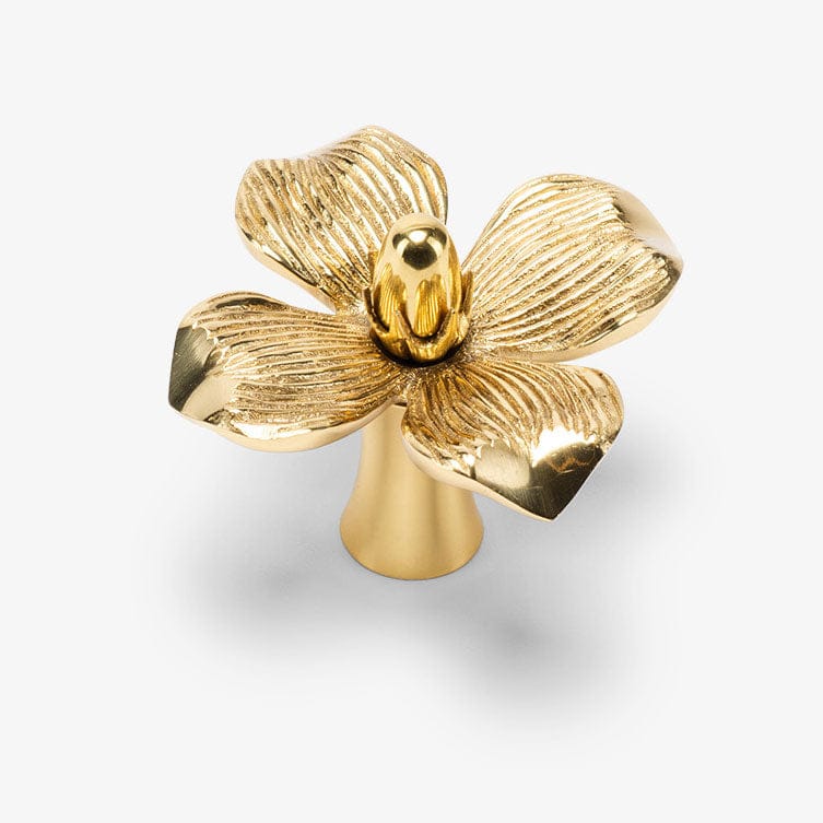 Dogwood Solid Brass Knob - Polished Brass