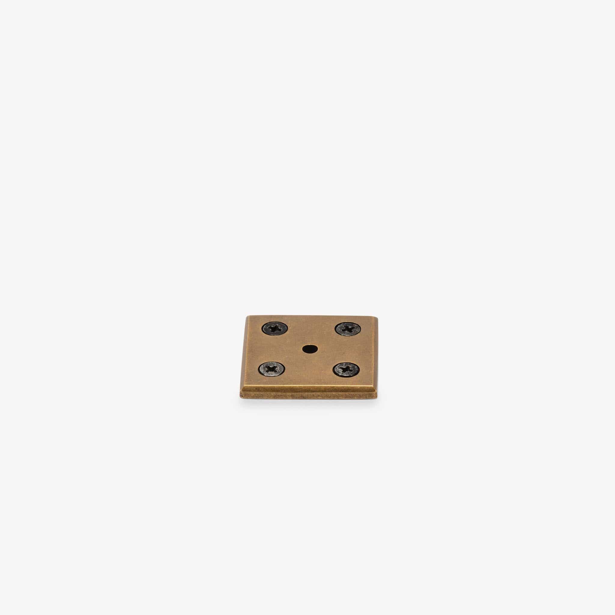 Crewe Backplate - Burnished Brass