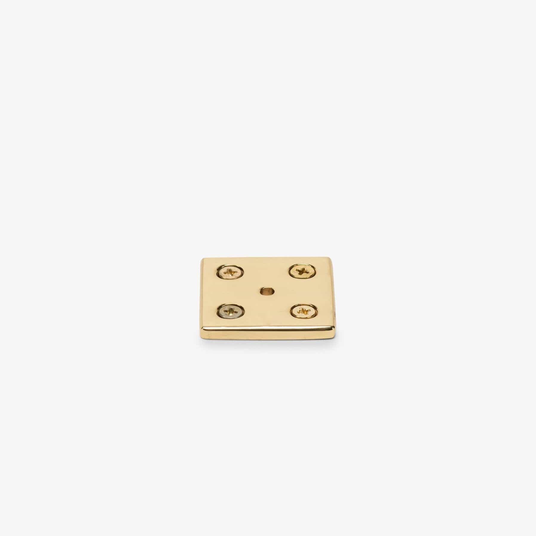 Crewe Backplate - Polished Brass