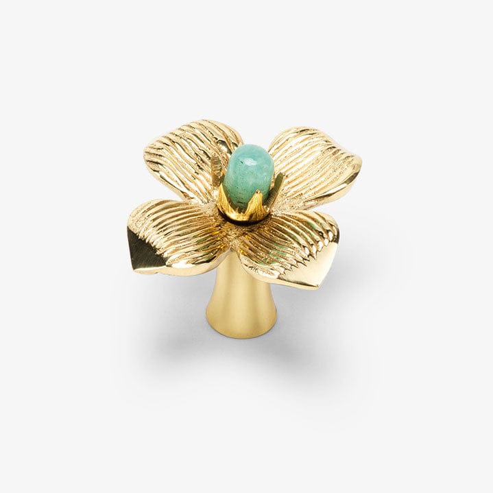 Dogwood Custom Knob - Polished Brass
