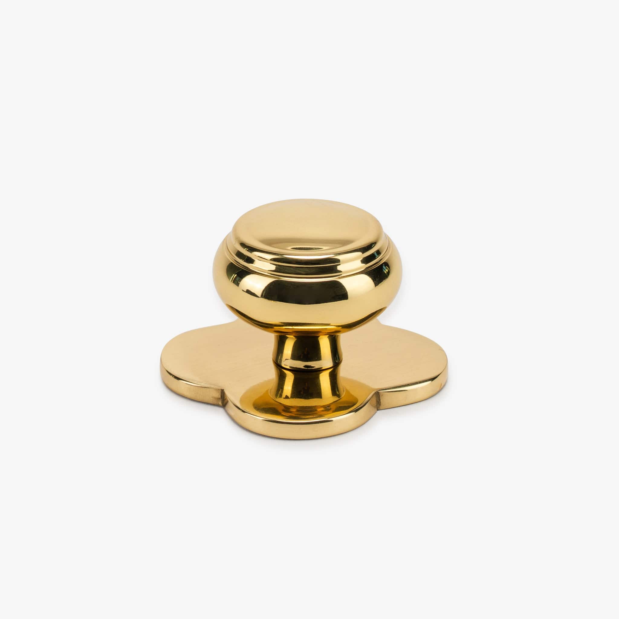 Roanoke 1.25" Knob w/ Jones 1.90" Backplate