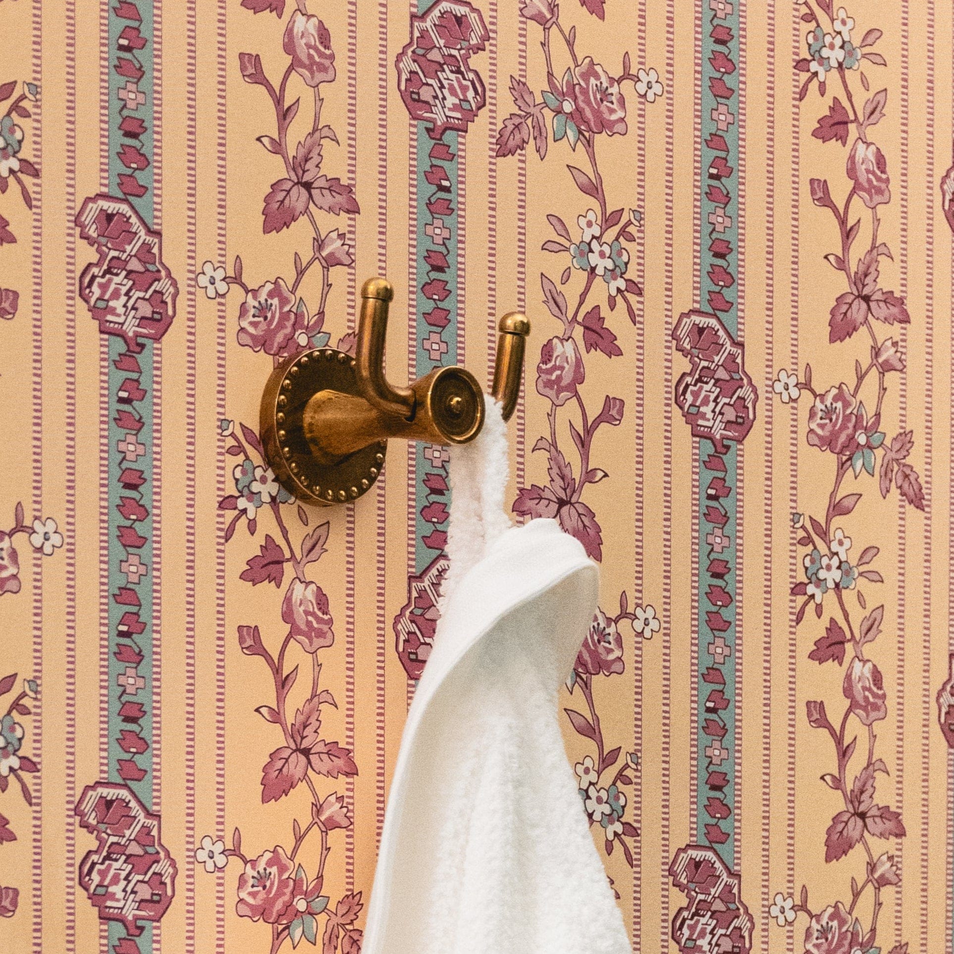 Amelia Brass Double Hook - Burnished Brass