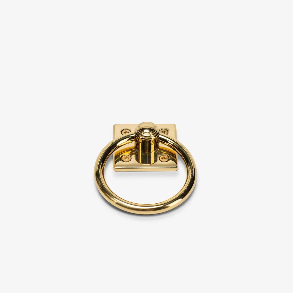 Crewe Backplate - Polished Brass