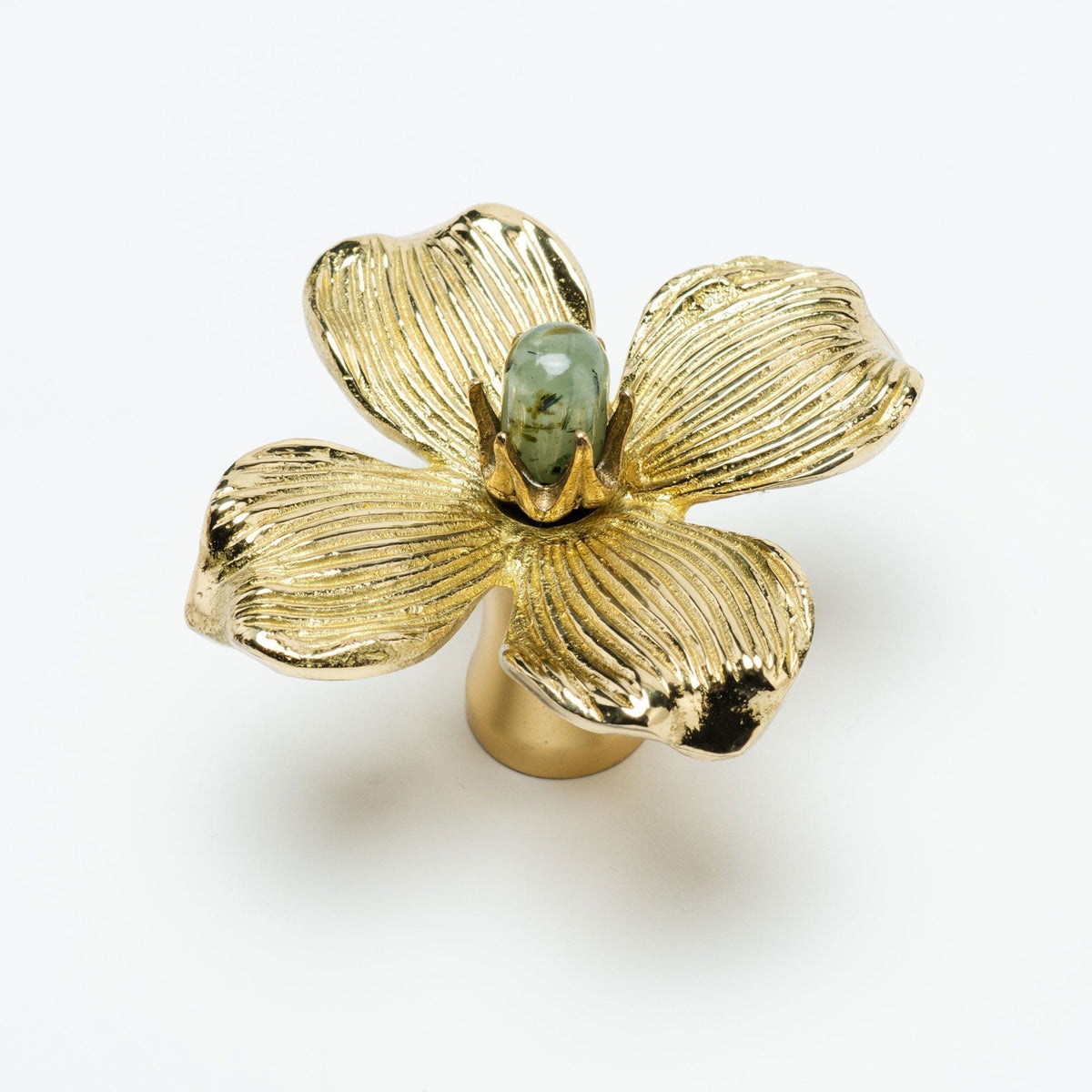 Dogwood Custom Knob - Polished Brass