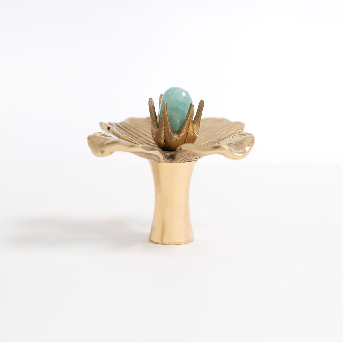 Dogwood Custom Knob - Polished Brass