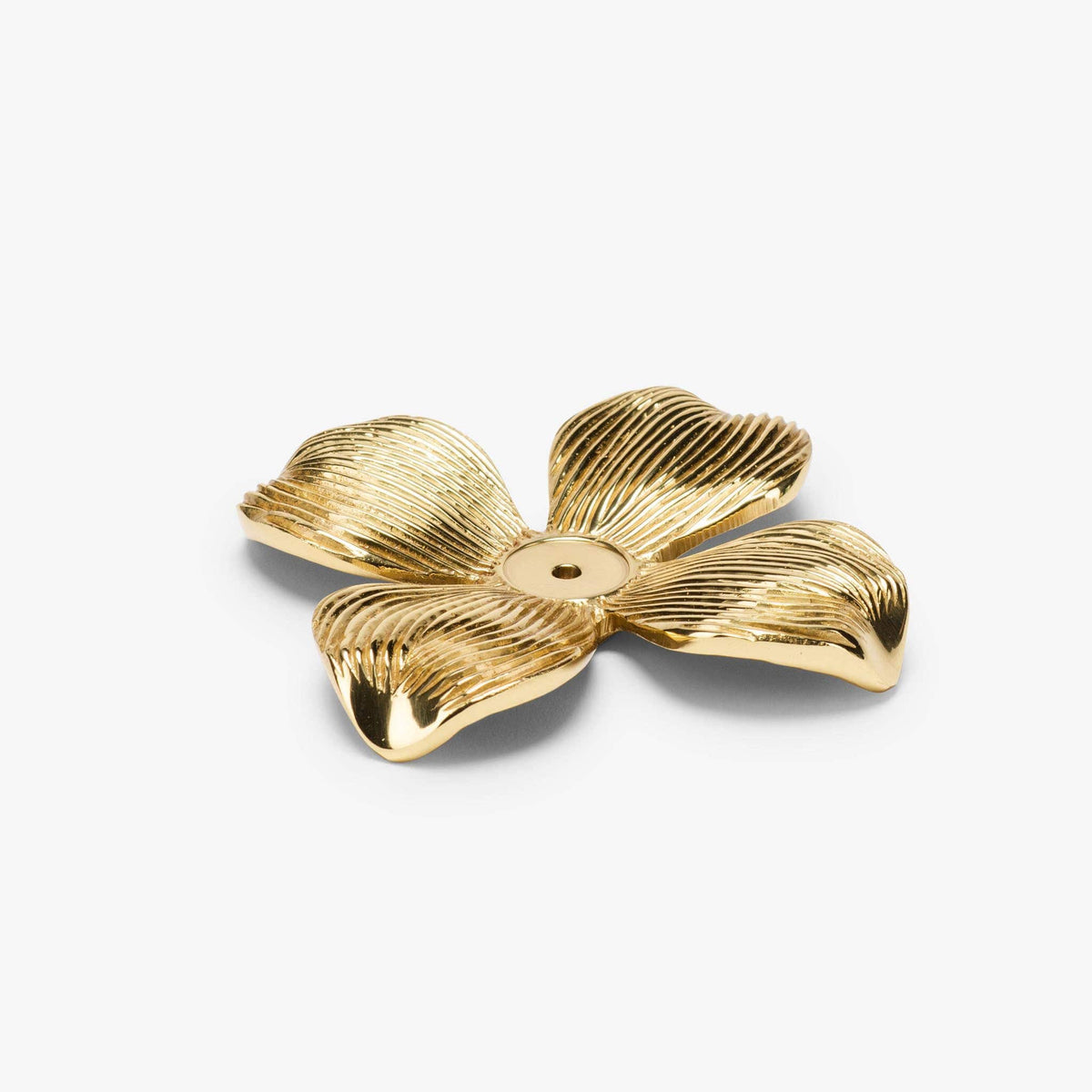 Dogwood Backplate - Polished Brass