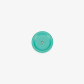 Palm Beach Turquoise