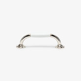 Polished Nickel