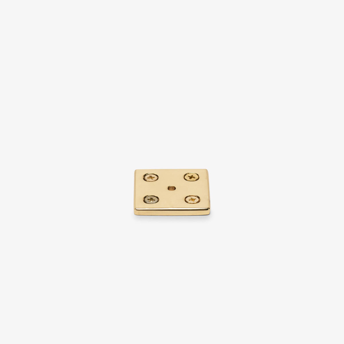 Roanoke 1.75" Ring Pull w/ Crewe 1.50" Backplate#Finish_Polished Brass