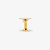 Polished Brass