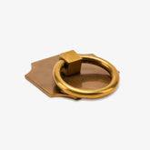 Modern Matter New Bossarg Backplate with Porter Ring Pull I Modern Matter Bundled Set