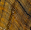 Tigers Eye