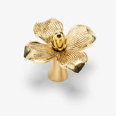Polished Brass