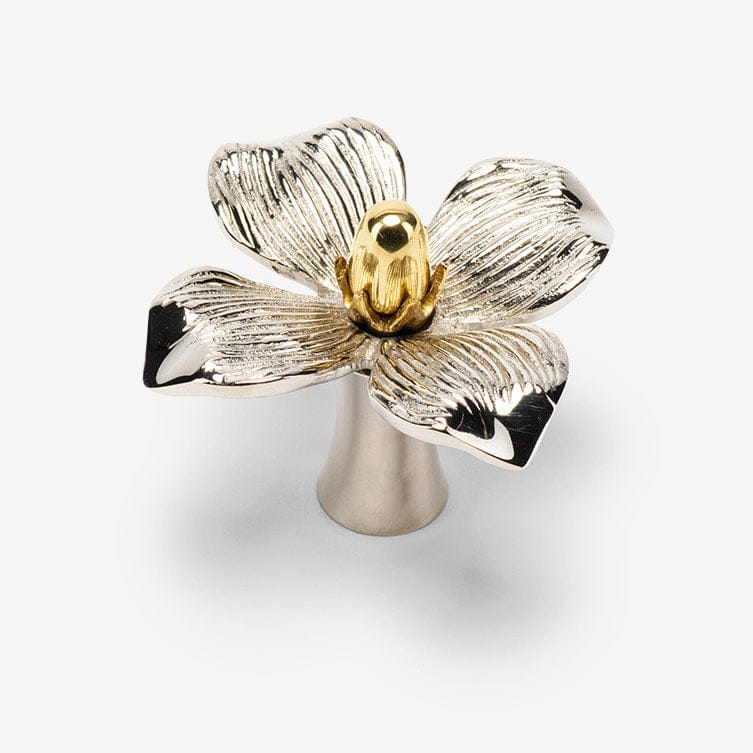Polished Nickel