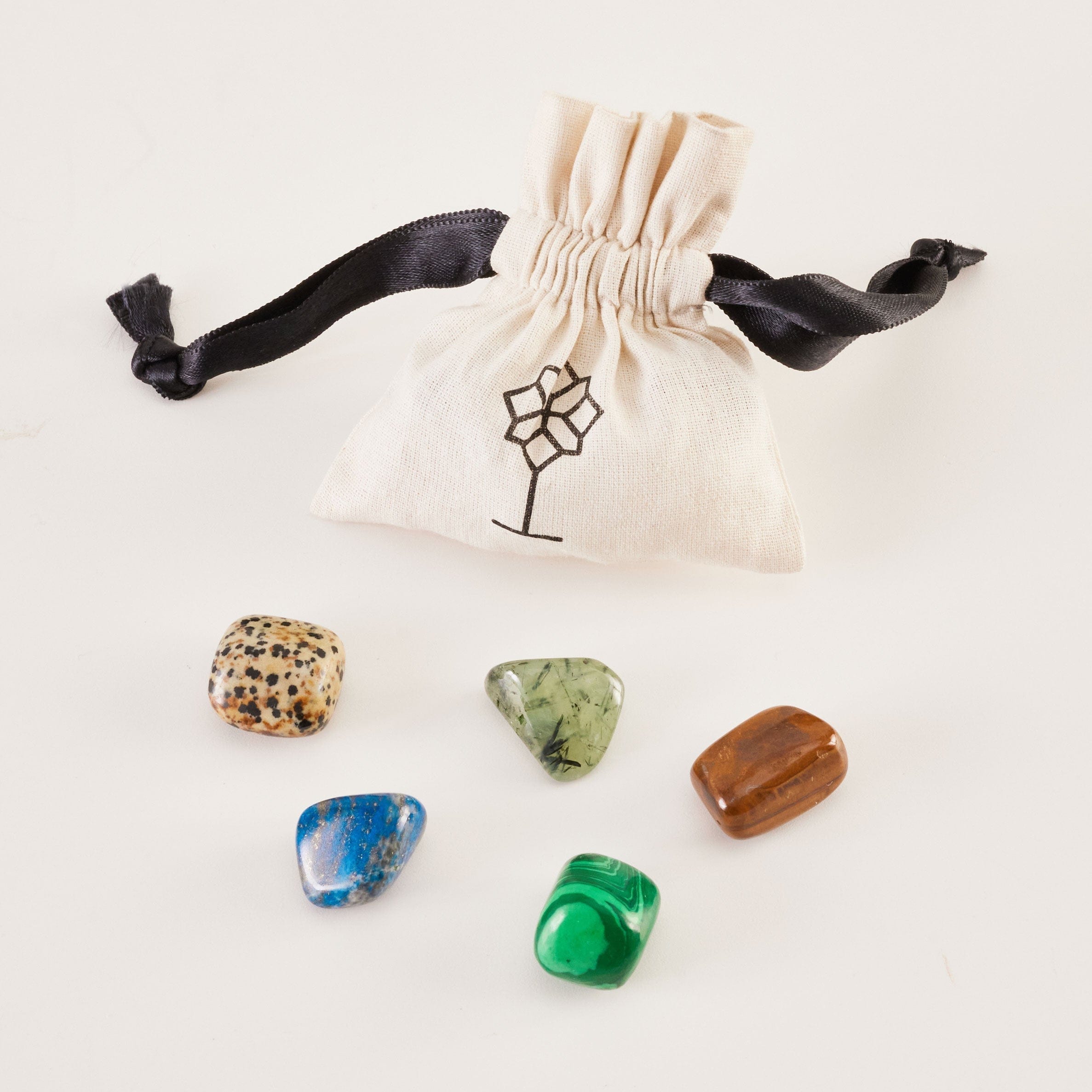 Set 2 - PREHNITE, TIGER, LAPIS, MALACHITE, and DALMATIAN JASPER