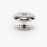 Polished Nickel